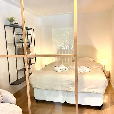 Standing 100m De La Avec Balcon Dauphin *