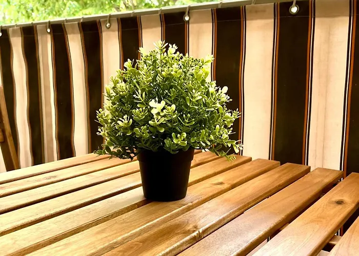 Apartment Standing 100m De La Avec Balcon Dauphin *